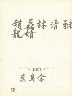 赵磊林清雅上门龙婿