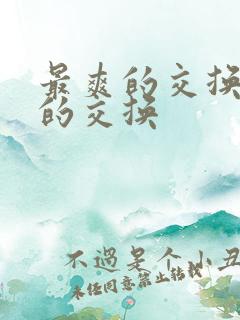 最爽的交换疯狂的交换