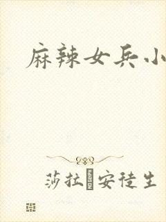 麻辣女兵小说版