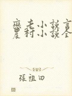 恋老小说言情网农村小说全文阅读