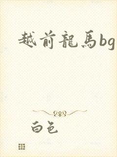 越前龙马bg