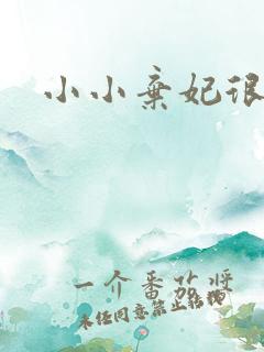 小小弃妃很倾城