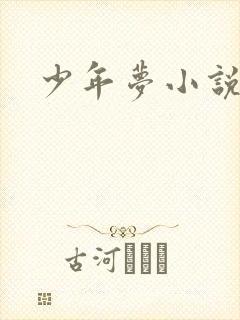 少年梦小说