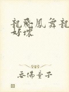 龙飞凤舞龙王你好坏