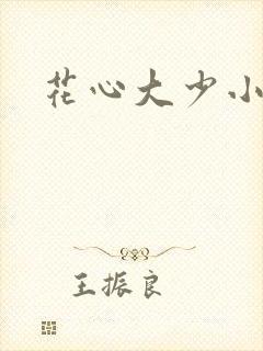 花心大少小说