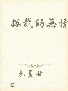 总裁的无情游戏