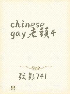 chinesegay老头4