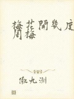 梅花开几度老张周梅