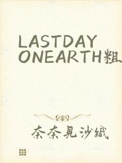 LASTDAYONEARTH粗暴