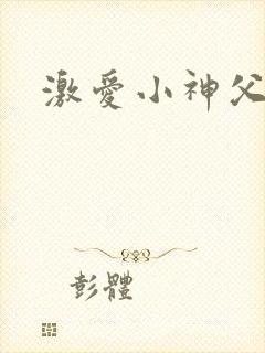 激爱小神父