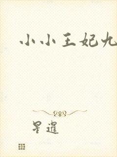 小小王妃九岁半