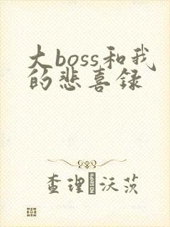 大boss和我的悲喜录