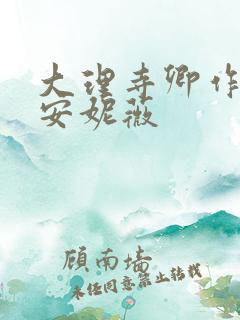 大理寺卿作者:安妮薇