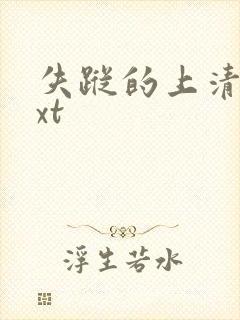 失踪的上清寺txt