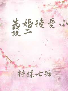 先婚后爱小说梦筱二