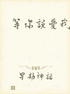 等你说爱我小说