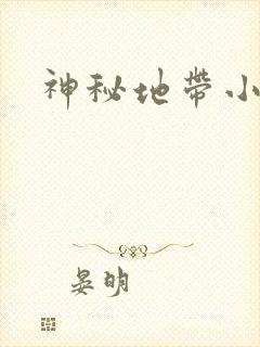 神秘地带小说