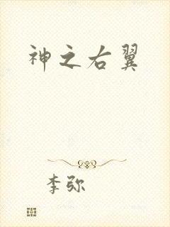 神之右翼