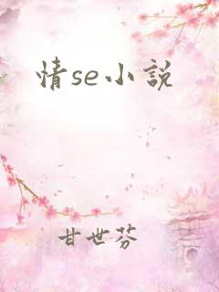 情se小说