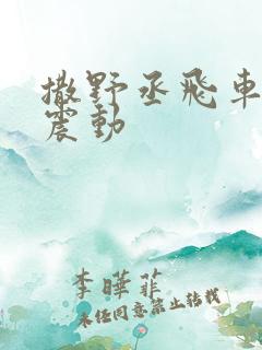 撒野丞飞车道具震动