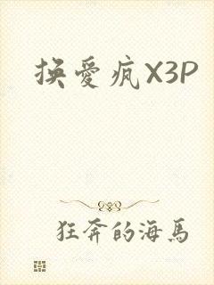换爱疯X3P