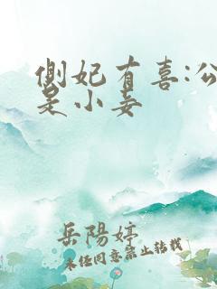 侧妃有喜:公主是小妾