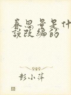 眷思量是什么小说改编的