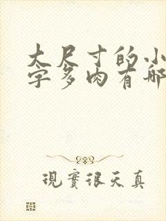 大尺寸的小黄说字多肉有哪些