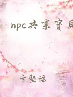npc共享宝贝