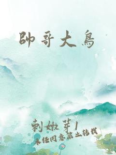 帅哥大鸟
