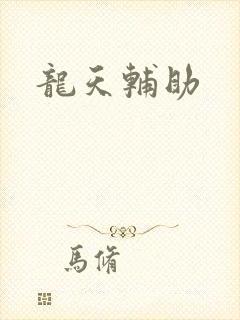 龙天辅助