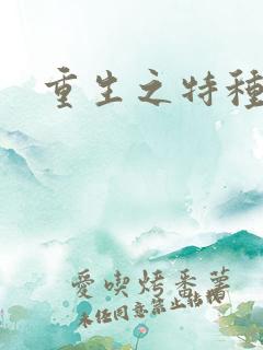 重生之特种军嫂