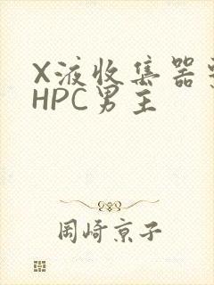 X液收集器系统HPC男主