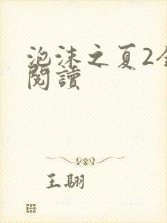 泡沫之夏2全文阅读