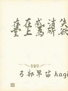 存在感消失在课堂上为所欲为