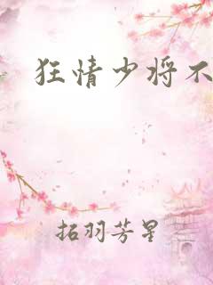 狂情少将不良妻