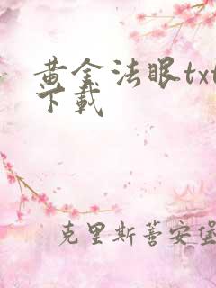 黄金法眼txt下载