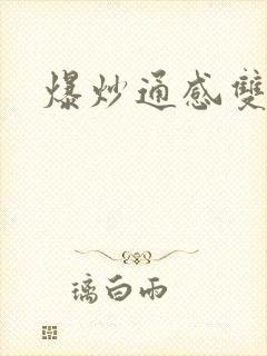 爆炒通感双胞胎