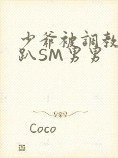 少爷被调教室跪趴SM男男