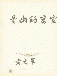 爱幽的密室小说