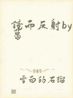 镜面反射by九葛