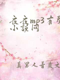 夜夜mp3有声小说网