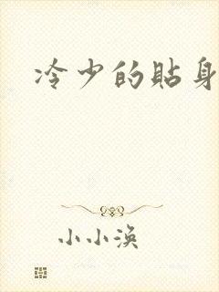 冷少的贴身女人