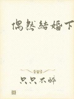 偶然结婚下载