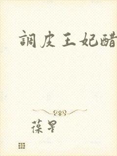 调皮王妃醋王爷