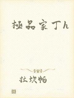 极品家丁h