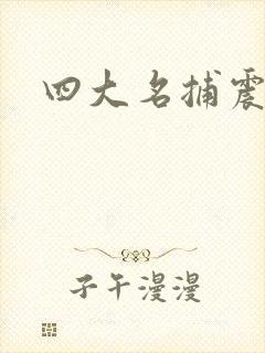 四大名捕震关东