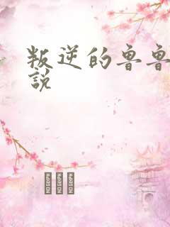 叛逆的鲁鲁修小说