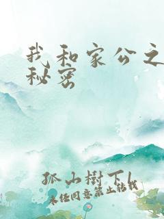 我和家公之间的秘密