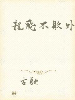 龙飞不败外传